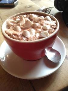 hot-chocolate-with-marshmallow